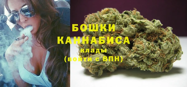 дурь Бронницы