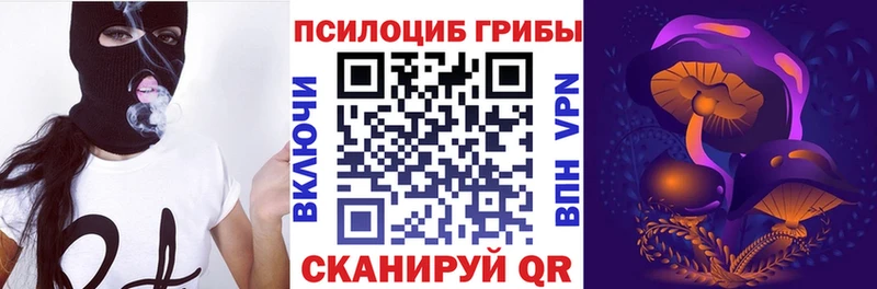 Галлюциногенные грибы Psilocybine cubensis  МЕГА   Печора 